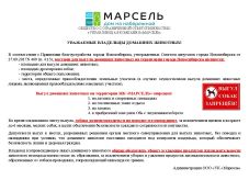 Собаки выгул